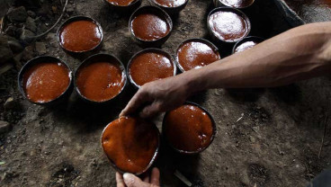 Pembuatan Gula Merah Dari Pohon Aren