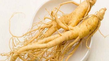 Manfaat Ginseng, dari Jaga Stamina hingga Vitalitas 