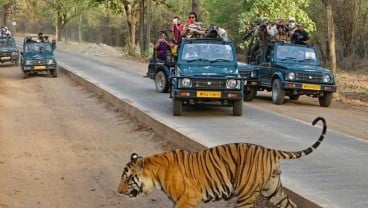 8 Tempat Wisata di India yang Bisa Dikunjungi Bersama Sahabat