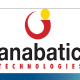 Sambut BI FAST, Anabatic Siapkan Digital X’formation Platform