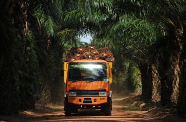 Penjualan Minyak Sawit Meningkat, Laba Austindo (ANJT) Meroket 332 Persen Semester I/2021