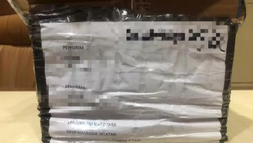 Unit Anjing Pelacak Bea Cukai Batam Gagalkan Penyelundupan Ganja ke Lombok