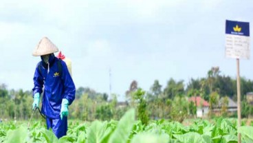 Perjalanan Bentoel (RMBA) Sampai Ajukan Delisting, Dekapan Grup Rajawali hingga Ditinggal Philip Morris