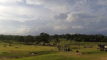 Viral di Balikpapan, Peternakan Kerbau Dijadikan Tempat Berjemur Hingga Berkemah