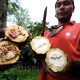Petani Kakao Perlu Manfaatkan Pembayaran Digital, Ini Alasannya