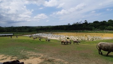 Disporapar Balikpapan Sebut Bukit Kebo Berpotensi Jadi Objek Wisata Baru