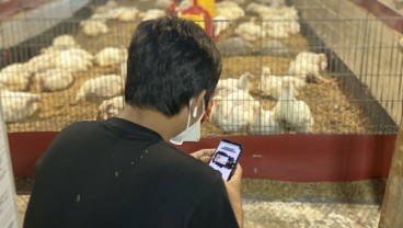 Perkenalkan BroilerX, Sistem Pendeteksi Kandang Ayam Berbasis IoT