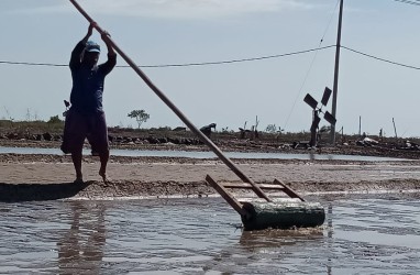 Produksi Garam di Kabupaten Cirebon Terhambat Gara-gara Ini