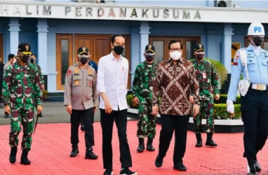 Jokowi: Porang Bisa Jadi Makanan Pokok di Masa Depan