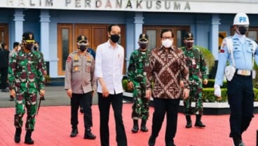 Ini 6 Fakta soal Porang yang Disebut Jokowi Makanan Sehat Masa Depan 