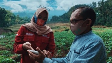 Jadi Klaster Unggulan, BNI (BBNI) Pacu Penyaluran KUR kepada Petani Porang