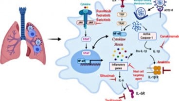 Dialami Deddy Corbuzier, Apa itu Badai Sitokin, Gejala dan Pengobatannya