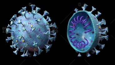 Peneliti Temukan Cara Virus Corona Masuk ke dalam Tubuh Manusia