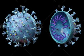 Peneliti Temukan Cara Virus Corona Masuk ke dalam…