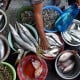 Diperiksa Kejagung, Perikanan Indonesia (Perindo) Komitmen Taat Proses Hukum