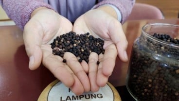 Dirjen HKI Ingin Indonesia Punya Nama Varietas Kopi Sendiri