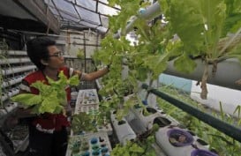 Purwakarta Gandeng Ewindo Kembangkan Kawasan Agro Eduwisata