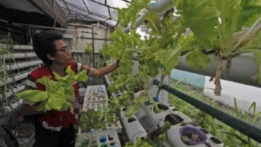 Purwakarta Gandeng Ewindo Kembangkan Kawasan Agro Eduwisata