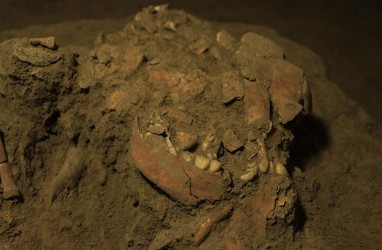 Terungkap! Misteri Kerangka Manusia Purbakala di Sulawesi, Usianya 7.200 Tahun