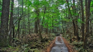 10 Tempat Langka dan Misterius di Dunia yang Bisa Anda Kunjungi