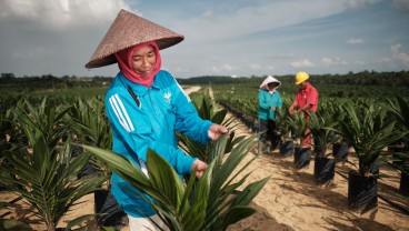 Pentingnya Keberlanjutan dalam Industri Sawit, Apical dan Asian Agri Edukasi Generasi Muda di Summer Course IPB University