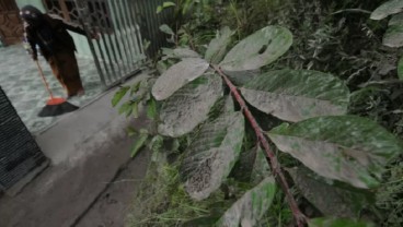 Hujan Abu dari Merapi Melanda Sejumlah Desa di Magelang