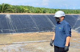 Empat Pembangkit Tenaga Biogas PTPN V Beroperasi Tahun Ini