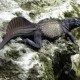 Wah Ada 'Dinosaurus' Mini di Indonesia, Begini Penampakannya