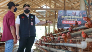 Pemkab Kediri Cairkan Bantuan Uang Tunai Peternak Ayam Rp5,5 Miliar