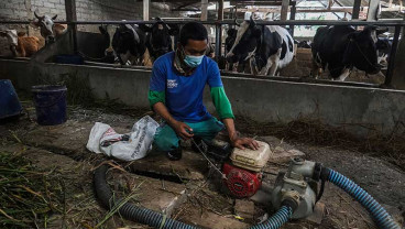Warga Banjarnegara Jateng Sudah 7 Tahun Menggunakan Biogas Untuk Sumber Energi
