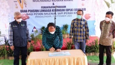 Pemprov Jabar-KPBS Dorong Milenial Jabar Beternak Sapi Perah