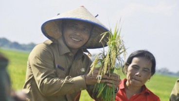 FOOD ESTATE : Asa Sumsel Jadi Penyangga Pangan Nasional