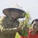 FOOD ESTATE : Asa Sumsel Jadi Penyangga Pangan Nasional