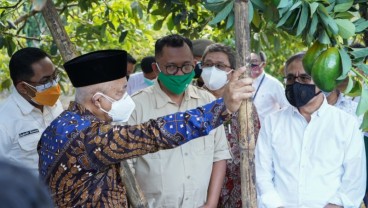 Penyaluran KUR Bank Himbara di Kabupaten Malang capai Rp2,10 Triliun