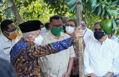 Penyaluran KUR Bank Himbara di Kabupaten Malang capai Rp2,10 Triliun