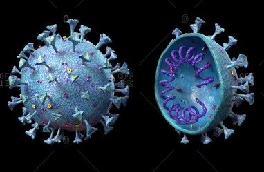 Epidemi Virus Corona Pertama Kali Muncul Lebih dari 21.000 Tahun Lalu