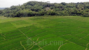 Banyumas Bakal Buka Pariwisata Meski Masih PPKM Level 3