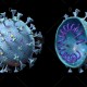 Satgas Covid-19: Virus Corona Varian Mu Belum Ditemukan di RI