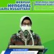 BPOM: Peluang Pasar Jamu Nasional Terganjal Data Empiris 