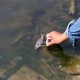 Bengawan Solo Tercemar Alkohol, Ikan-ikan Ikut Mabuk hingga Pengolahan Air PDAM Dihentikan