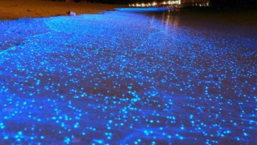 Menakjubkan! Ada Fenomena Milky Sea di Laut Selatan Jawa 