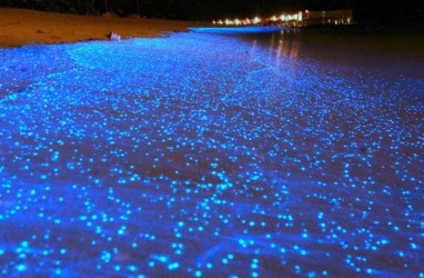 Menakjubkan! Ada Fenomena Milky Sea di Laut Selatan Jawa 