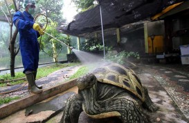 PPKM Level 3, Taman Mini Indonesia Mulai Dibuka Hari Ini 