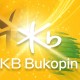 Obligasi KB Bukopin (BBKP) Rp2 Triliun Laris Manis