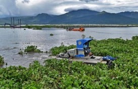 Hasil Perikanan Tangkap di Purwakarta Belum Tergali Maksimal, Eceng Gondok Penyebabnya