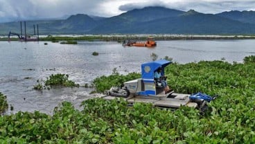 Hasil Perikanan Tangkap di Purwakarta Belum Tergali Maksimal, Eceng Gondok Penyebabnya