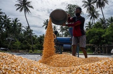 Hingga Kuartal II/2021, KUR Pertanian BRI Capai Rp26,5 Triliun