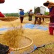 Polemik PPN Sembako, HKTI Ingatkan Jangan Sampai Merembet ke Bahan Primer Pertanian