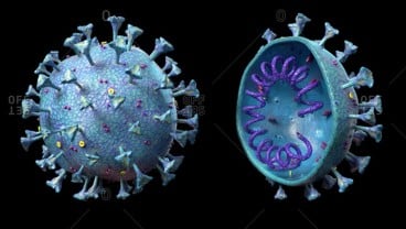 Ini Penyebab Munculnya Varian Baru dan Mutasi Virus Covid-19