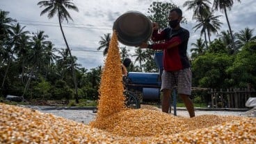 INDUSTRI AGRO KEMBALI MENGGELIAT : Pacu Pasokan Bahan Baku Lokal 